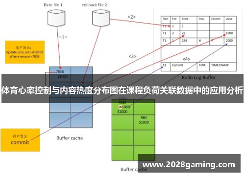 体育心率控制与内容热度分布图在课程负荷关联数据中的应用分析